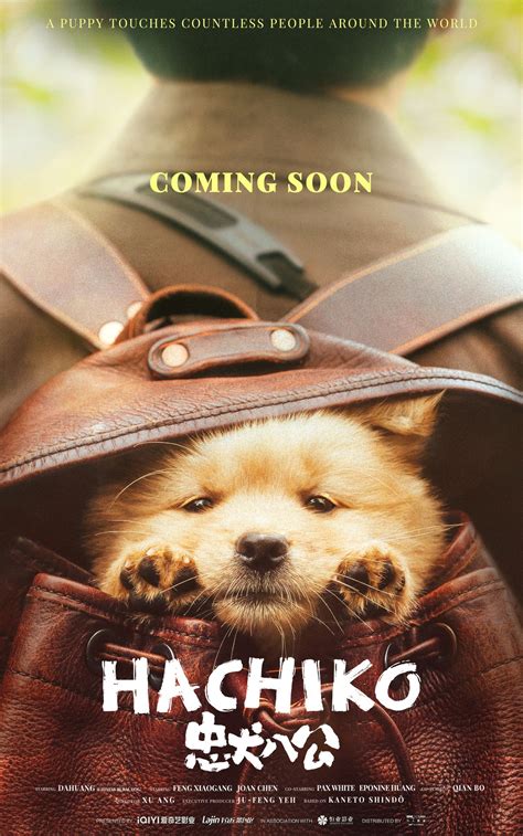 where to watch hachiko.